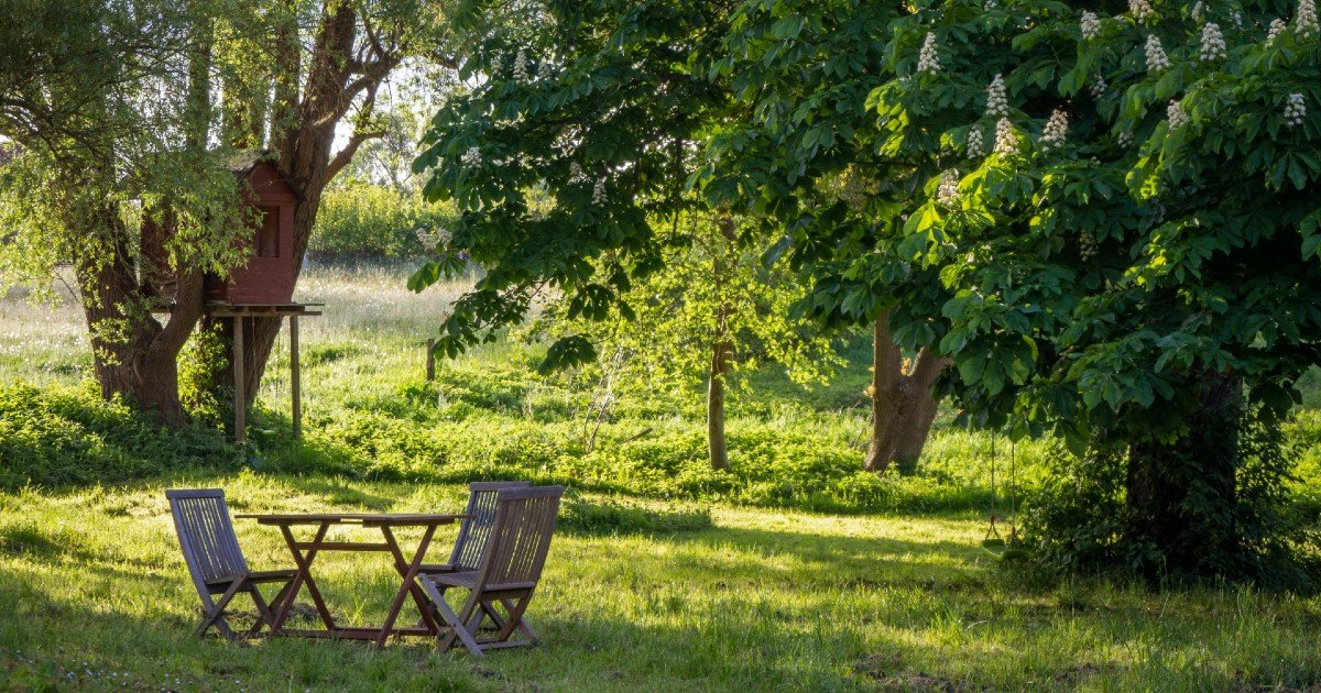 The Healing Power of the Outdoors